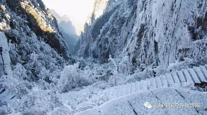 古墓丽影：崛起