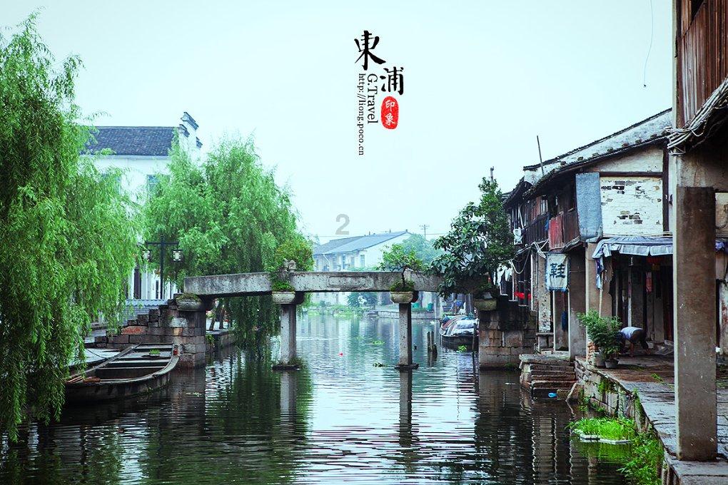 宾川:万亩贡菜喜丰收